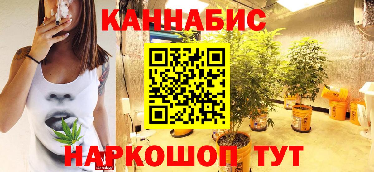 Шишки марихуана THC 21%  Бошки Шишки планчик  Сибай  Вход с VPN  Бошки марихуана сатива 